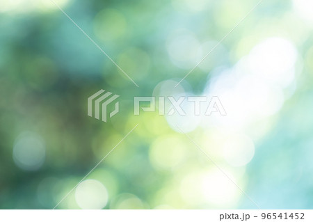 新緑、背景、緑、葉、自然、風景、ぼかし、植物、木漏れ日、新緑イメージ、背景合成用画像素材 96541452