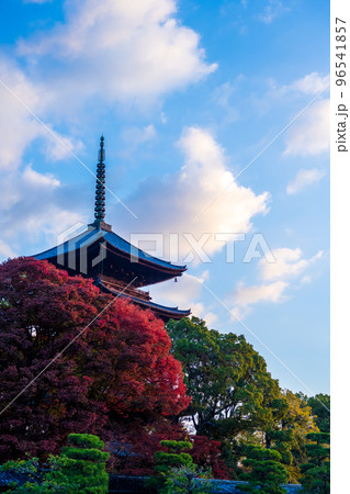 世界的観光都市京都の東のお寺の五重塔の朝の風景|京都府京都市 世界的観光都市京都の東のお寺の五重塔の朝の風景|京都府京都市 96541857