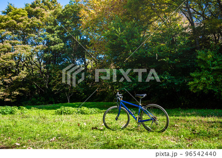 道端に置かれた自転車　乗り物イメージ 96542440