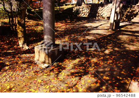 青梅市にある和田乃神社の秋（4） 96542488
