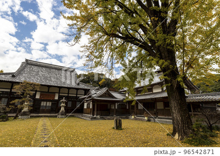 天祐寺の紅葉【長崎県諫早市西小路町】 96542871
