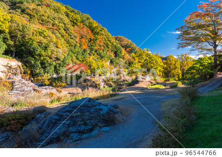 《埼玉県》秋の長瀞・紅葉の岩畳 96544766