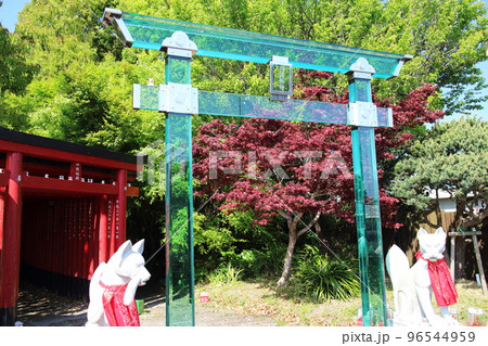 赤い鳥居とガラスの鳥居がある神徳稲荷神社 96544959