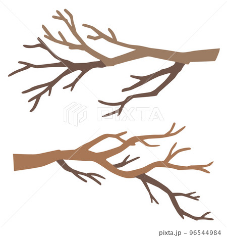Vector Illustration Of Tree Branch - Stock Illustration [96544984] - Pixta