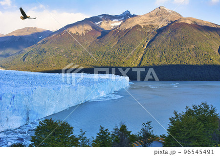 パタゴニア地方のペリトモレノ氷河の景観 96545491