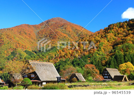 秋の白川郷　紅葉の合掌造り集落 96545539
