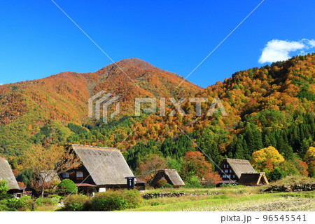 秋の白川郷 紅葉の合掌造り集落 秋の白川郷 紅葉の合掌造り集落 96545541
