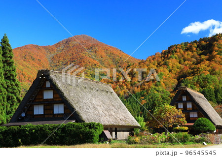 秋の白川郷　紅葉の合掌造り集落 96545545