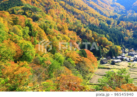 秋の白川郷　城山天守閣展望台から見た合掌集落全景 96545940