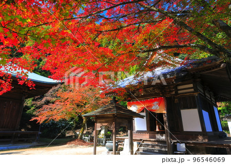 【愛媛県】晴天の西山興隆寺の紅葉 【愛媛県】晴天の西山興隆寺の紅葉 96546069