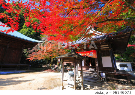 【愛媛県】晴天の西山興隆寺の紅葉 96546072