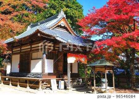 【愛媛県】晴天の西山興隆寺の紅葉 96546084
