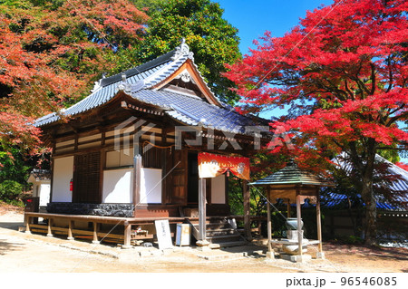 【愛媛県】晴天の西山興隆寺の紅葉 96546085
