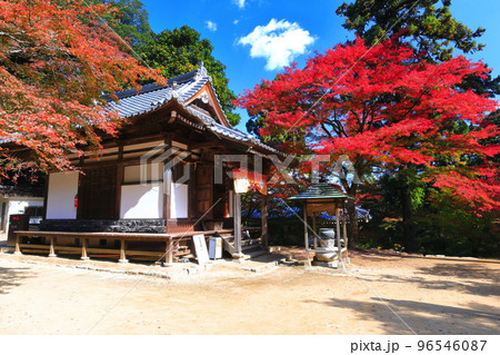 【愛媛県】晴天の西山興隆寺の紅葉 96546087