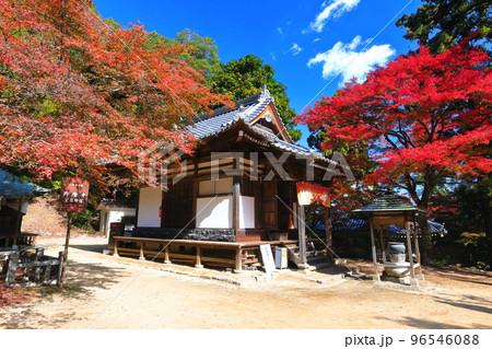 【愛媛県】晴天の西山興隆寺の紅葉 【愛媛県】晴天の西山興隆寺の紅葉 96546088