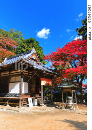 【愛媛県】晴天の西山興隆寺の紅葉 96546092