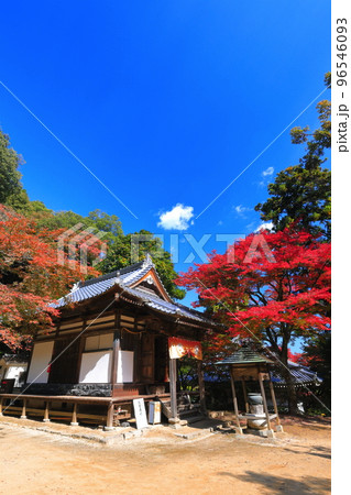 【愛媛県】晴天の西山興隆寺の紅葉 96546093