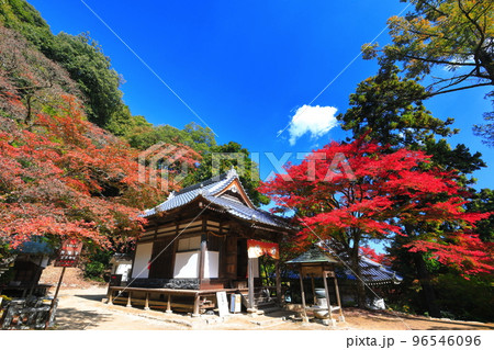 【愛媛県】晴天の西山興隆寺の紅葉 【愛媛県】晴天の西山興隆寺の紅葉 96546096