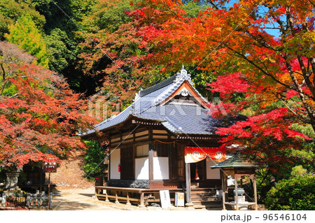 【愛媛県】晴天の西山興隆寺の紅葉 【愛媛県】晴天の西山興隆寺の紅葉 96546104