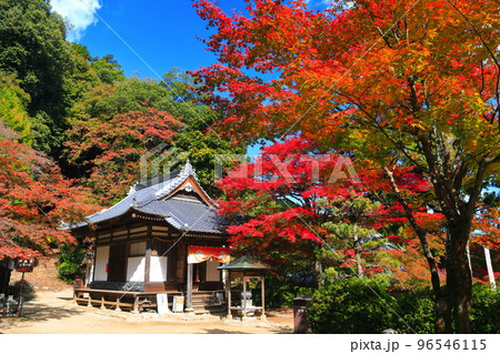 【愛媛県】晴天の西山興隆寺の紅葉 【愛媛県】晴天の西山興隆寺の紅葉 96546115