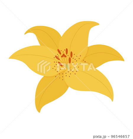 百合の花のイラスト 百合の花のイラスト 96546657