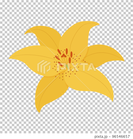 百合花圖 96546657