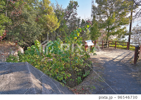 【大久野島の南部照明所跡 (軍事施設 遺跡)】 広島県竹原市忠海町 96546730