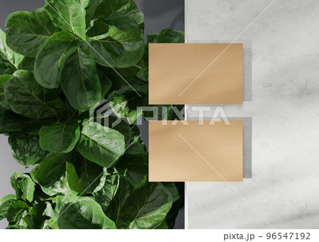 Blank brown cardboard business cards with plants. Natural mockup for branding identity. Two cards to show both sides. Template for graphic designer. 3D rendering. 96547192