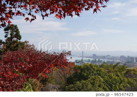 紅葉 紅葉 96547425