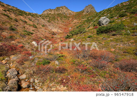 福島県二本松市 安達太良山登山道の分岐点峰の辻付近から見上げる矢筈森の紅葉 福島県二本松市 安達太良山登山道の分岐点峰の辻付近から見上げる矢筈森の紅葉 96547918