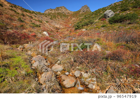 福島県二本松市 安達太良山登山道の分岐点峰の辻付近から見上げる矢筈森の紅葉 福島県二本松市 安達太良山登山道の分岐点峰の辻付近から見上げる矢筈森の紅葉 96547919