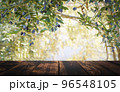 Wooden table on the background of olive trees and a farm garden. Summer rustic food product background. Eco, natural, farming concept 96548105