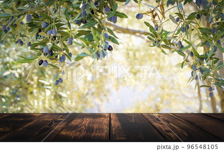 Wooden table on the background of olive trees and a farm garden. Summer rustic food product background. Eco, natural, farming concept 96548105
