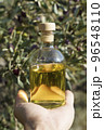 Olive oil with olive tree branch background. Natural oil for food or cosmetics from natural ingredients. Healthy food, cosmetics concept. 96548110