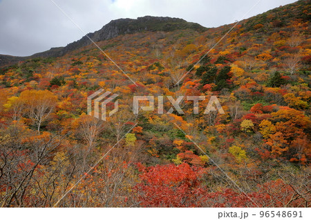 福島県二本松市 安達太良山の鉄山斜面に広がる紅葉の景色 福島県二本松市 安達太良山の鉄山斜面に広がる紅葉の景色 96548691