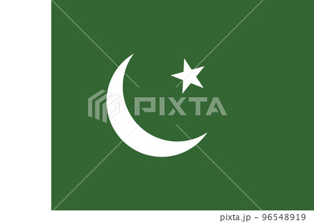 パキスタン　国旗 96548919