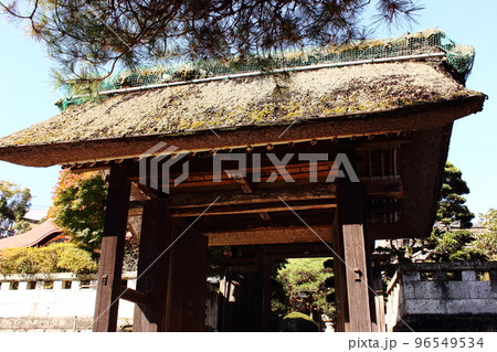 青梅市にある明白院の山門(1) 青梅市にある明白院の山門(1) 96549534