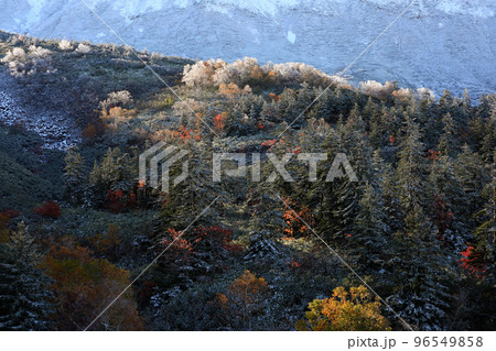 【北海道上富良野町】雪と紅葉 【北海道上富良野町】雪と紅葉 96549858