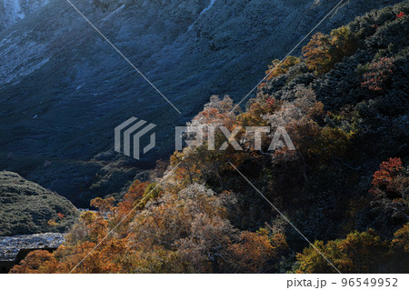 【北海道美瑛町】山の紅葉 【北海道美瑛町】山の紅葉 96549952