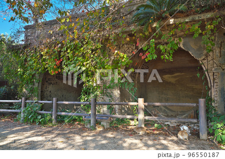 【大久野島の三軒家毒ガス貯蔵庫跡 (軍事施設 遺跡)】 広島県竹原市忠海町 【大久野島の三軒家毒ガス貯蔵庫跡 (軍事施設 遺跡)】 広島県竹原市忠海町 96550187