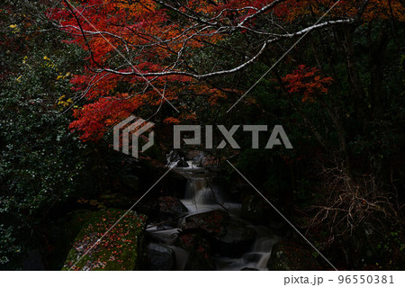 尼ン滝の紅葉 96550381