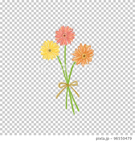 クレヨンタッチのガーベラの花束 クレヨンタッチのガーベラの花束 96550479