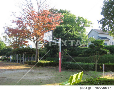 紅葉の公園とバスケットゴールです。 紅葉の公園とバスケットゴールです。 96550647