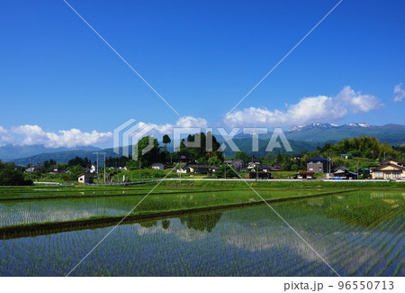 春の田園風景　田植えの終わった田園風景 96550713