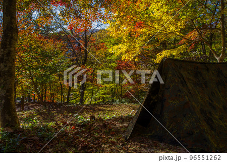 紅葉軍幕キャンプ　in　ひろしま県民の森（2022年10月末） 96551262