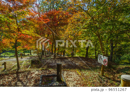 紅葉軍幕キャンプ in ひろしま県民の森(2022年10月末) 紅葉軍幕キャンプ in ひろしま県民の森(2022年10月末) 96551267