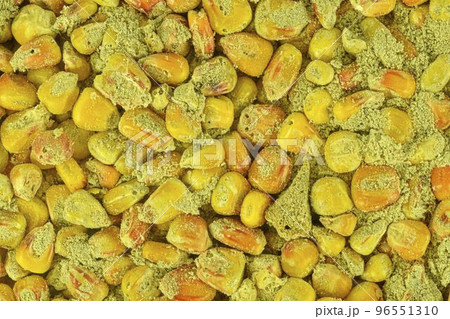 Corn mycotoxins - rotten corn grains. Rotten corn grains 96551310