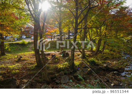 ひろしま県民の森周辺の紅葉（2022年10月末） 96551344