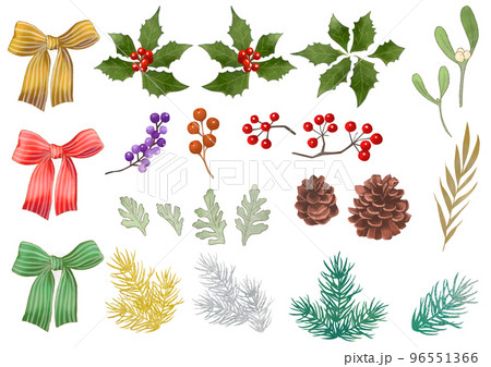 クリスマスの木の実と植物 96551366