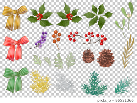 クリスマスの木の実と植物 96551366